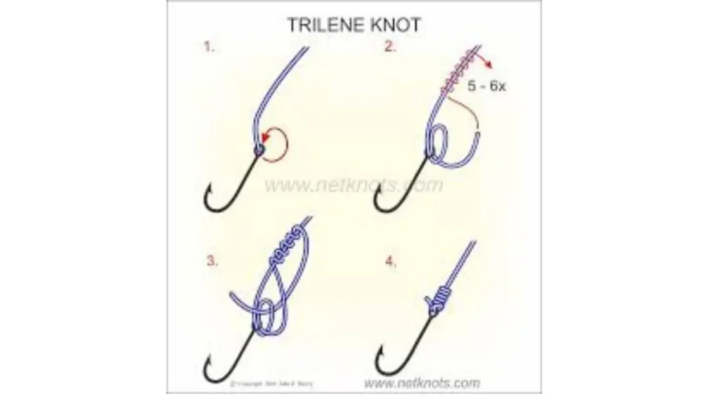 Qual o melhor nó de pesca para linha multifilamento? Guia prático 9 Nó Trilene utilizado em linha de pesca para garantir excelente resistência e firmeza na amarração.
