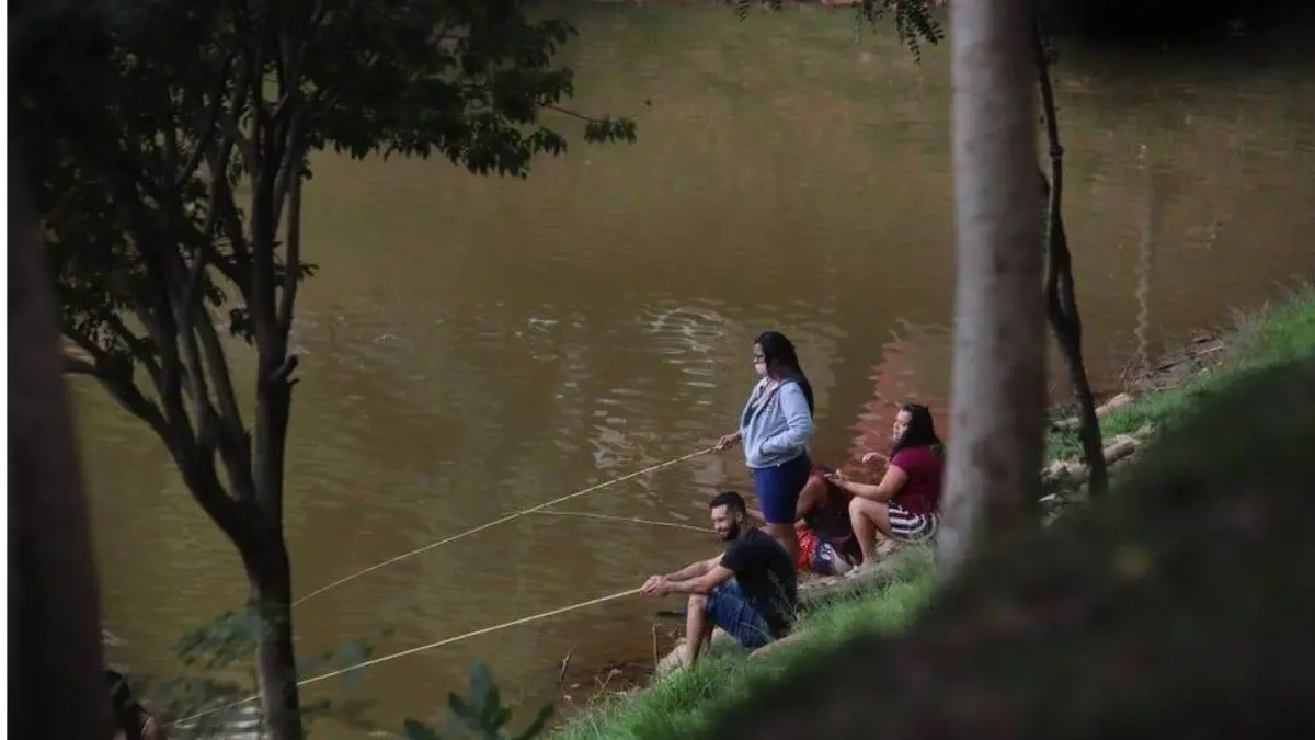 Pescador praticando pesca de barranco em represa de água doce