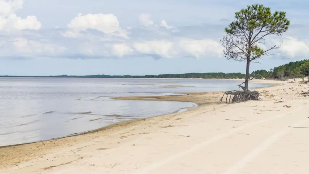 Paisagem da Lagoa dos Patos com potencial para pesca