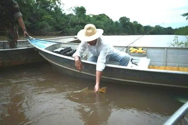 Práticas corretas para pesca esportiva dentro da legislação