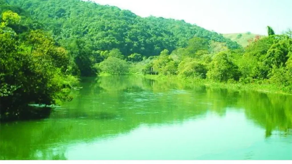Onde pescar perto de Campos dos Goytacazes: rios, lagoas e pesqueiros 4 Rio Paraíba do Sul com áreas conhecidas para pesca de piau e mandi