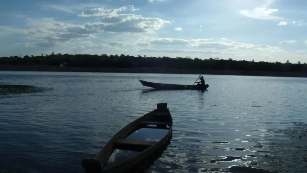 Onde pescar em Minas Gerais: rios, represas e peixes mais procurados 4 Trecho do Rio São Francisco utilizado para pesca esportiva