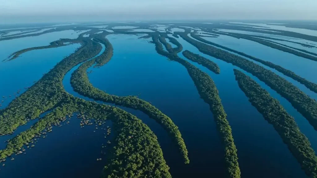 Paisagem amazônica mostrando conexão entre rios e floresta