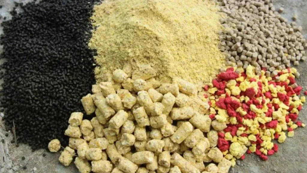 Milho, ração e ingredientes naturais usados na ceva.