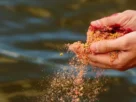 Ceva aplicada corretamente para aumentar as capturas na pesca esportiva.