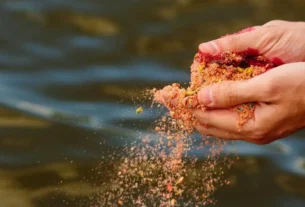 Ceva aplicada corretamente para aumentar as capturas na pesca esportiva.