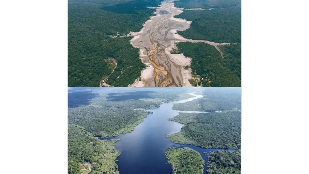 Piranha-preta da Amazônia surpreende pesquisadores ao revelar comportamento pacífico em rios amazônicos. 4 Diferenças entre os períodos de cheia e seca nos rios amazônicos.