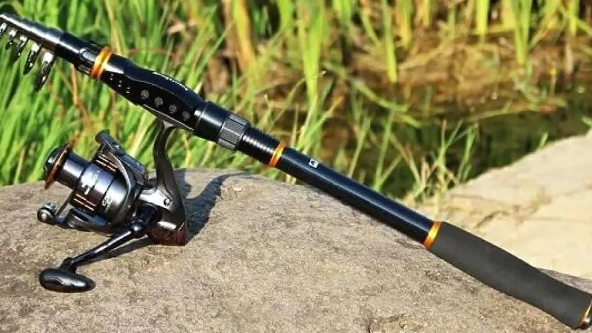 Comparação entre modelos de vara telescópica e vara inteiriça para pescadores