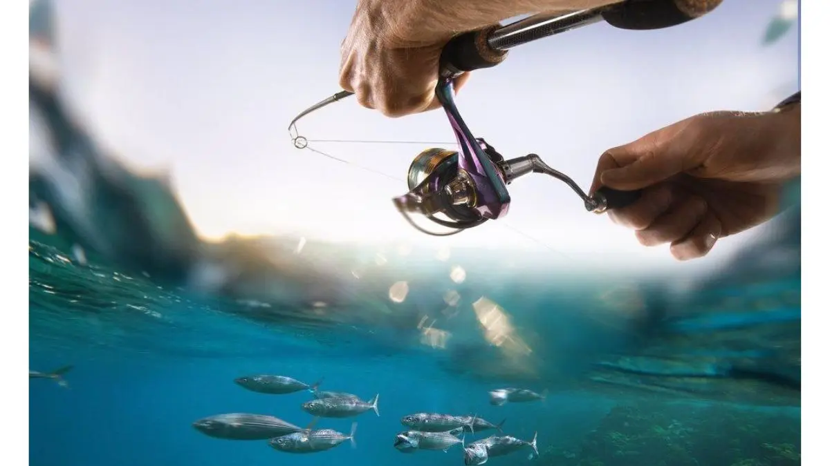 Pescador utilizando técnica para fazer peixe desconfiado voltar a atacar a isca
