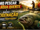 Pescaria em lago com água quente e baixa oxigenação durante o verão