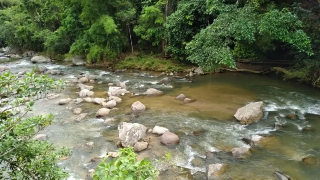 Rio com correnteza favorável para pesca de jaú.