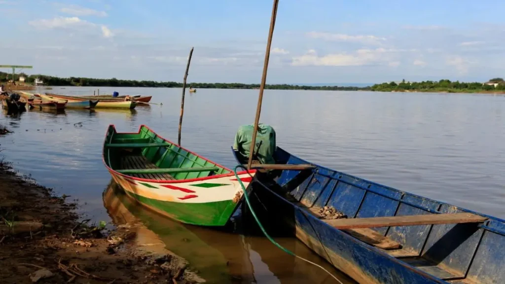 Pesca esportiva na Bahia: 10 destinos produtivos para grandes peixes. 2 Pesca esportiva na Bahia