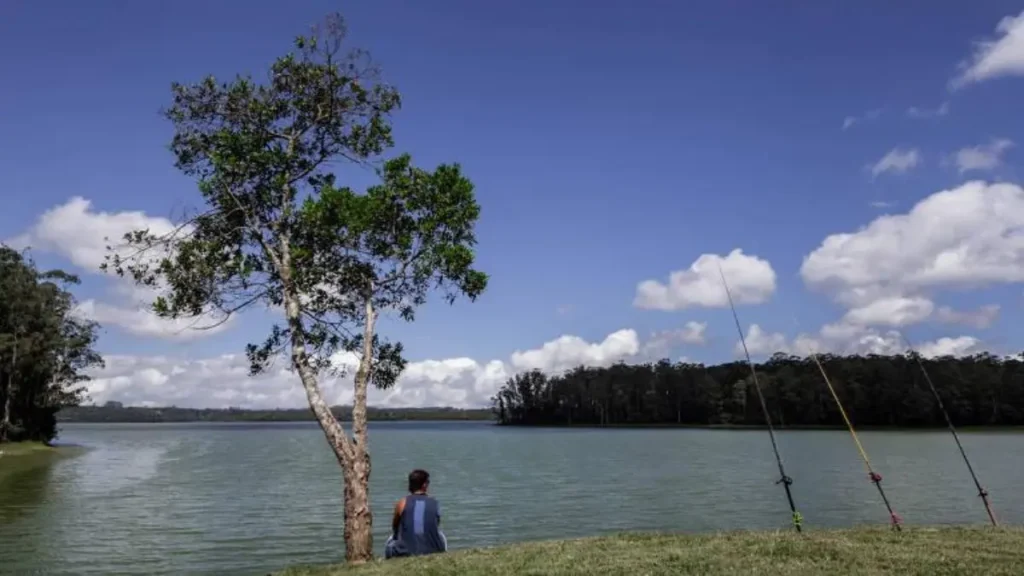 O que é pesca de espera e quando ela funciona melhor? Guia prático. 2 O que é pesca de espera?