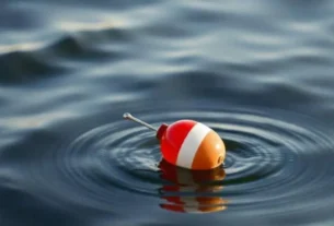 Técnica de pesca de espera utilizando isca natural em local estratégico