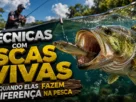 Técnicas com iscas vivas utilizadas na pesca esportiva de água doce.