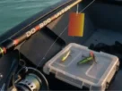 • Técnicas com iscas vivas utilizadas na pesca esportiva de água doce