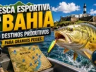 Melhores pesqueiros da Bahia para pescar tucunaré.