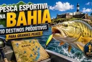 Melhores pesqueiros da Bahia para pescar tucunaré.