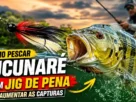 Jig de pena utilizado com sucesso na captura de tucunarés em estruturas naturais de lagos e represas.