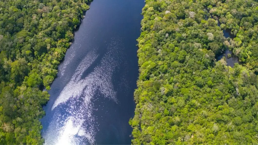 Bacias hidrográficas do Brasil: conheça as principais e os melhores peixes. 3 Grande rio da Bacia Amazônica em ambiente preservado.