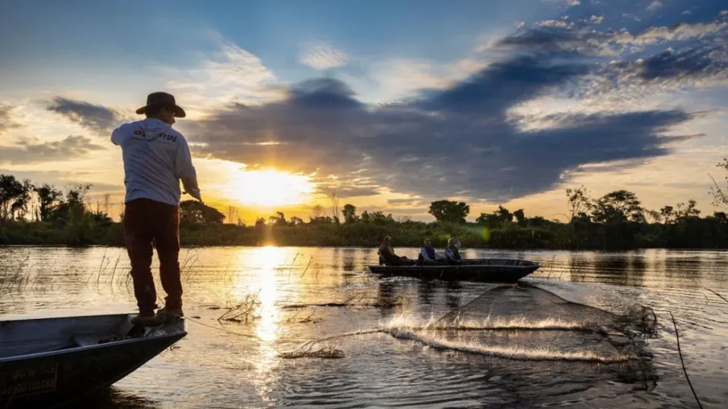 Bacias hidrográficas do Brasil: conheça as principais e os melhores peixes. 6 Paisagem do Pantanal pertencente à Bacia do Paraguai.