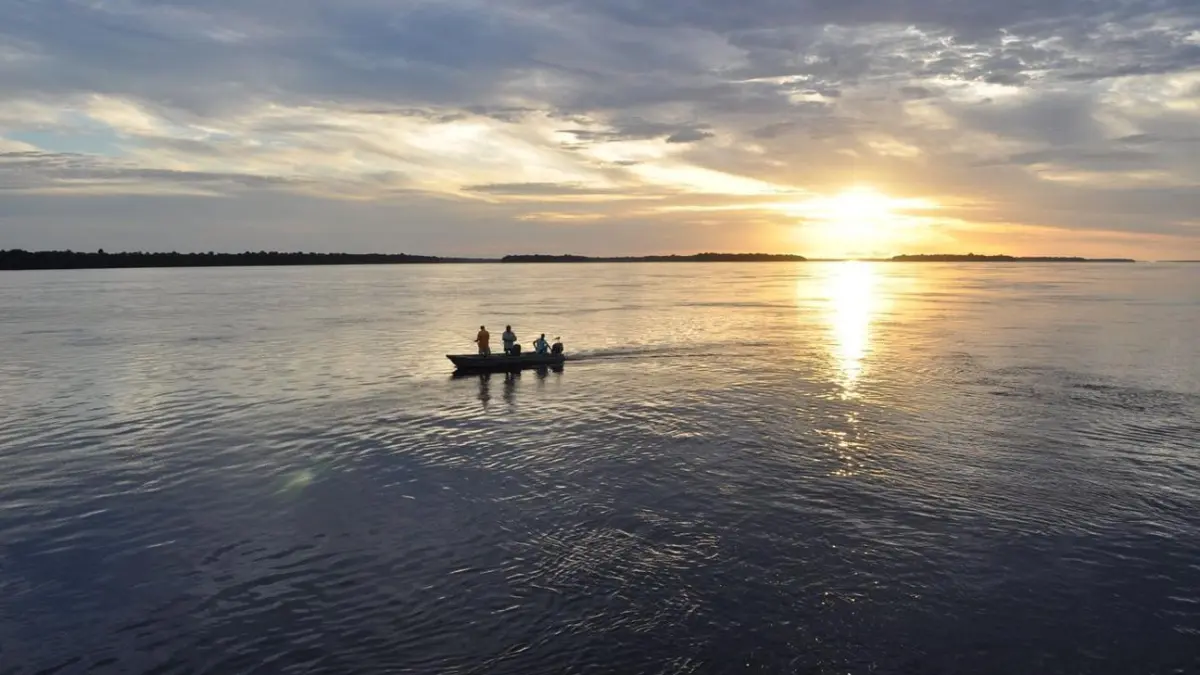 Vista aérea do Rio Negro em Barcelos, um dos principais destinos de pesca esportiva da Amazônia.
