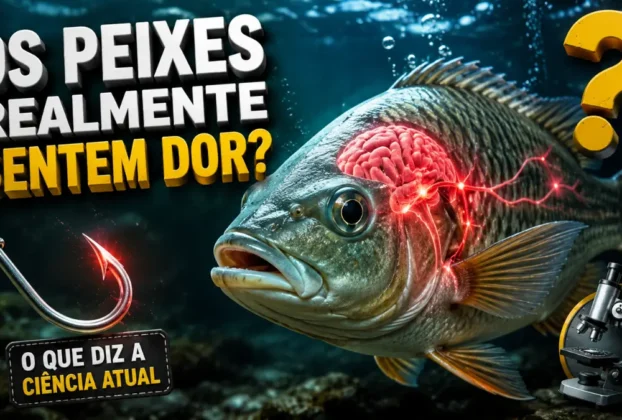 Ilustração de um sistema nervoso de um peixe em ambiente aquático.