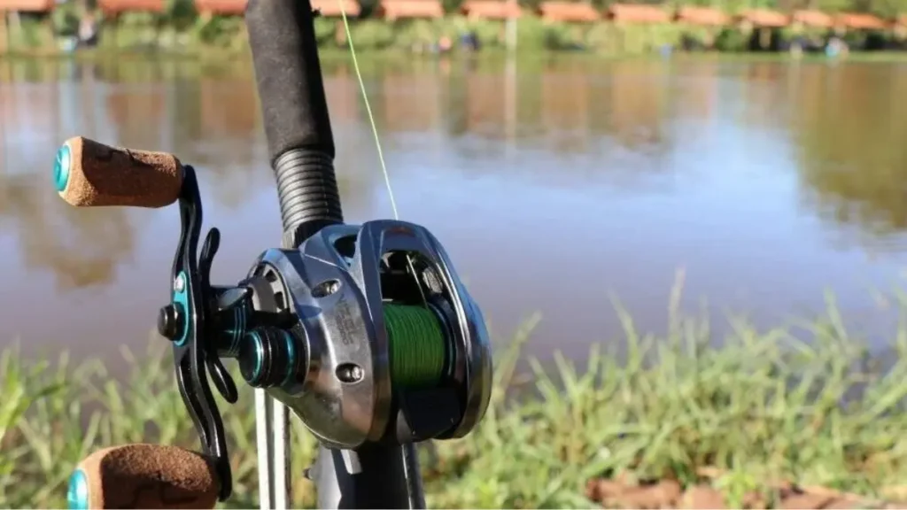 Bitola da linha de pesca.