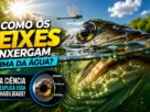Visão subaquática mostrando como um peixe percebe objetos fora da água.