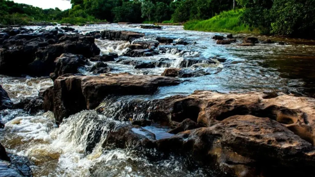 Corredeira em rio brasileiro com água oxigenada passando entre pedras, ambiente muito produtivo para peixes esportivos.