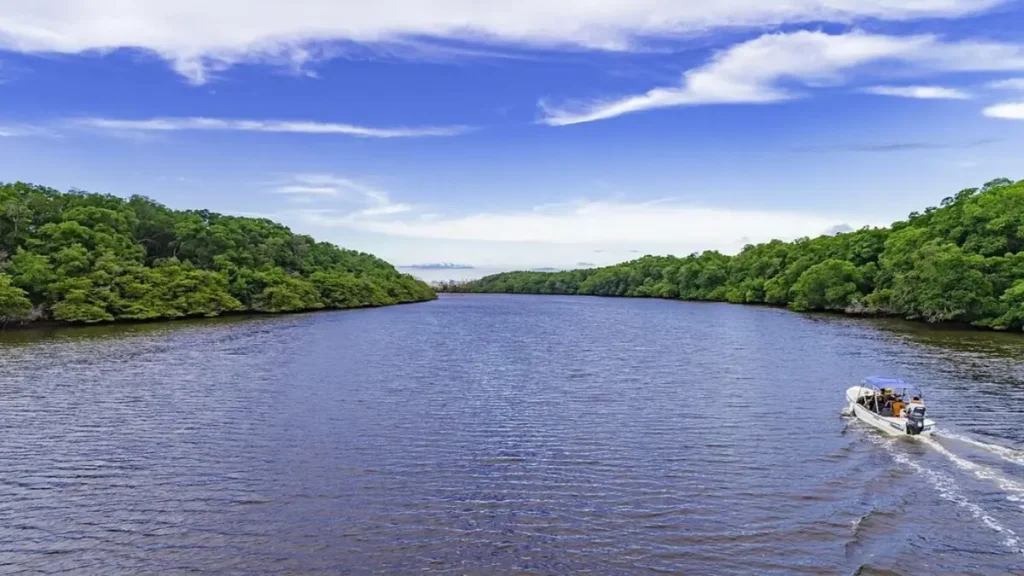 Onde pescar no Piauí: rios, represas e pontos imperdíveis para pescar. 5 Canais e manguezais do Delta do Parnaíba, ambiente rico em robalos e pescadas.