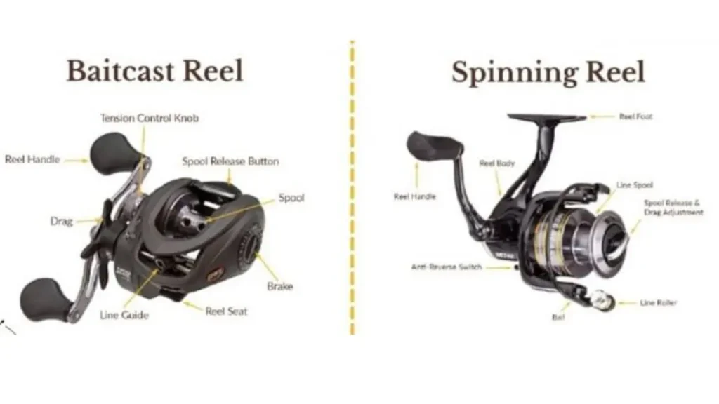 Diferença mecânica entre molinete e carretilha de pesca.