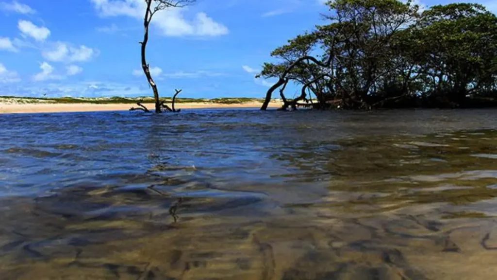 Pesca esportiva em Pernambuco.