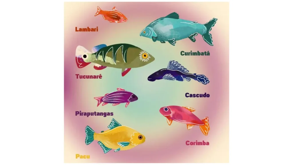 Representação da elevada biodiversidade de peixes da Amazônia. 