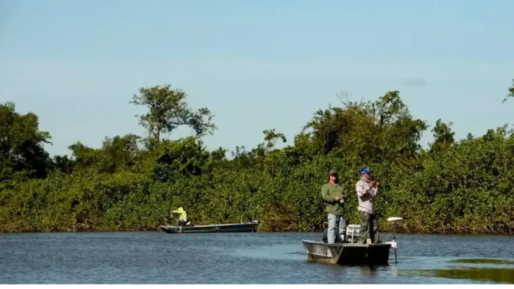 Estuário do Rio Camaragibe com manguezais favoráveis à pesca de robalos. 