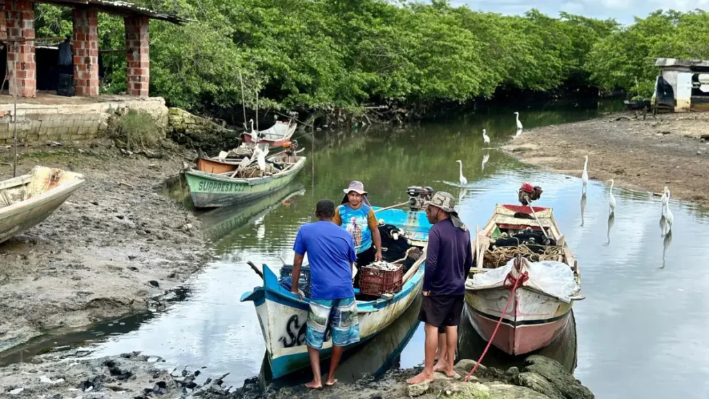Estuário do Rio Sergipe com manguezais e ambiente favorável à pesca esportiva.