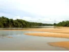 Paisagem da Ilha do Bananal entre os rios Araguaia e Javaés.