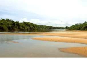 Paisagem da Ilha do Bananal entre os rios Araguaia e Javaés.