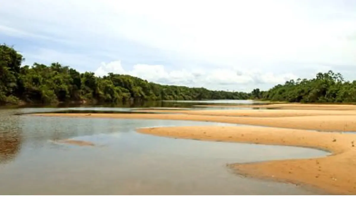 Paisagem da Ilha do Bananal entre os rios Araguaia e Javaés.