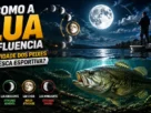 Paisagem de pesca esportiva mostrando a influência da lua sobre a atividade dos peixes.