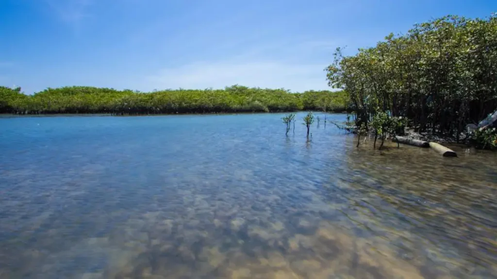 Pesca esportiva em Sergipe.