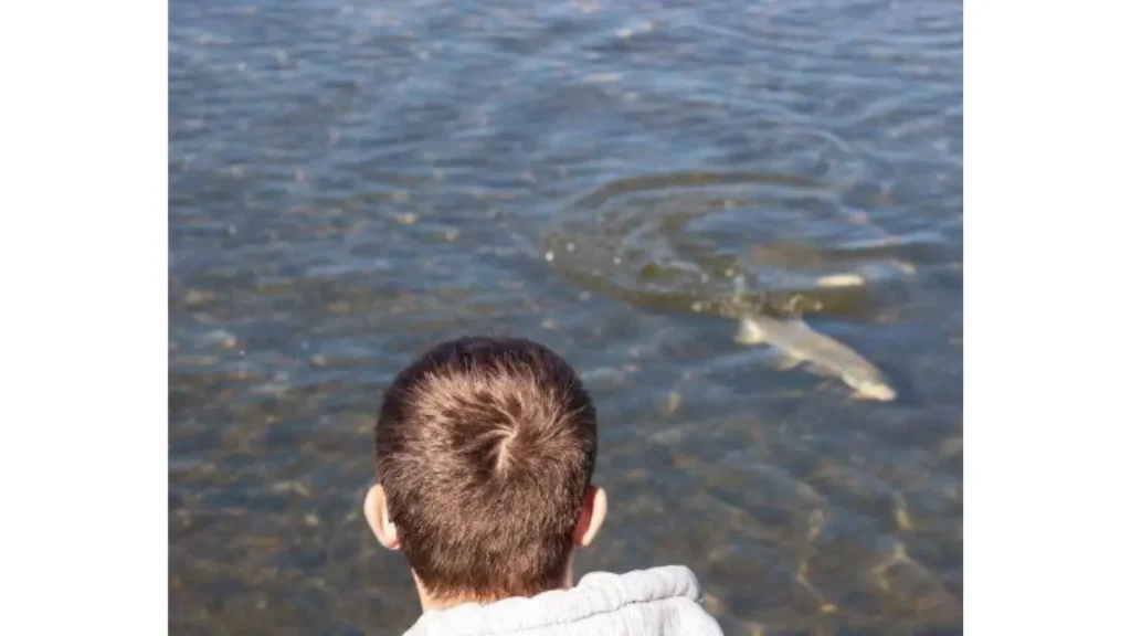 Pescador observando atentamente o comportamento de um peixe predador após acompanhar uma isca artificial.
