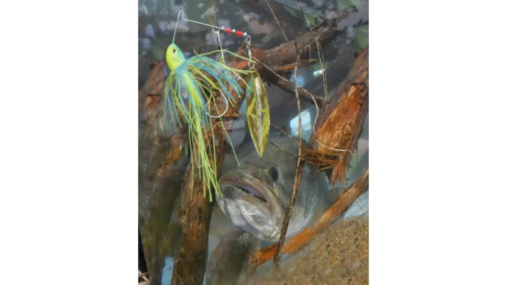 Como evitar enrosco na pesca em galhadas e estruturas fácil. 4 Ação de uma isca se enroscando nas galhadas na superfície.