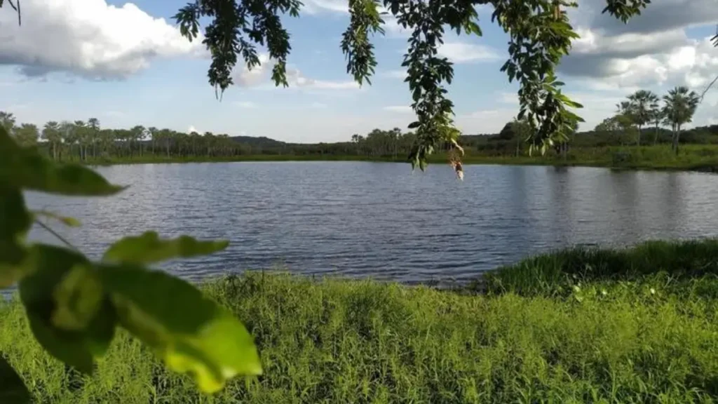 Onde pescar no Piauí: rios, represas e pontos imperdíveis para pescar. 4 Lagoa natural do Piauí utilizada para pesca de traíras, piaus e outras espécies.