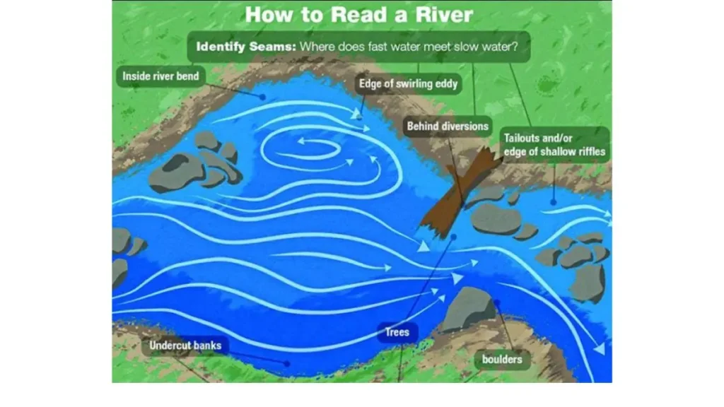 Leitura da água em pesca de água doce para identificar estruturas e pontos com peixes.