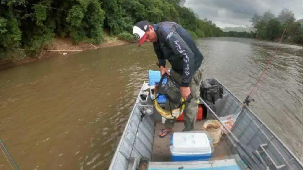 Pesca embarcada e desembarcada em rio brasileiro para escolha da licença.