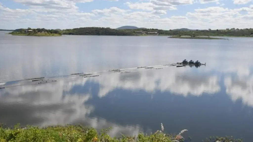 Top 10 açudes da Paraíba para pesca esportiva e grandes capturas. 2 Top 10 açudes da Paraíba para pesca esportiva.