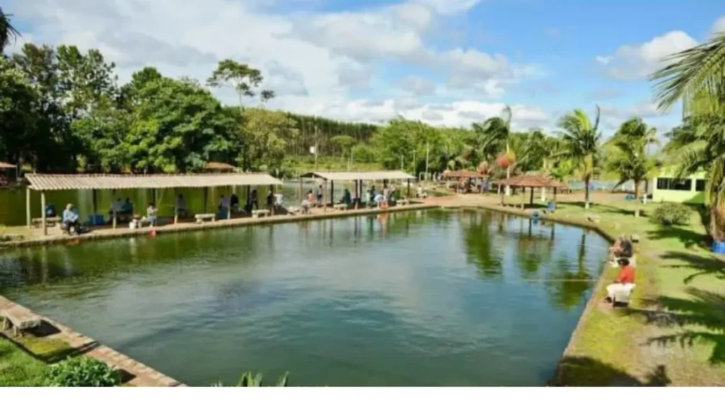 Melhores pesqueiros, rios e destinos de pesca no Brasil. 4 Pesqueiro esportivo brasileiro com lago e estrutura para pesca recreativa.