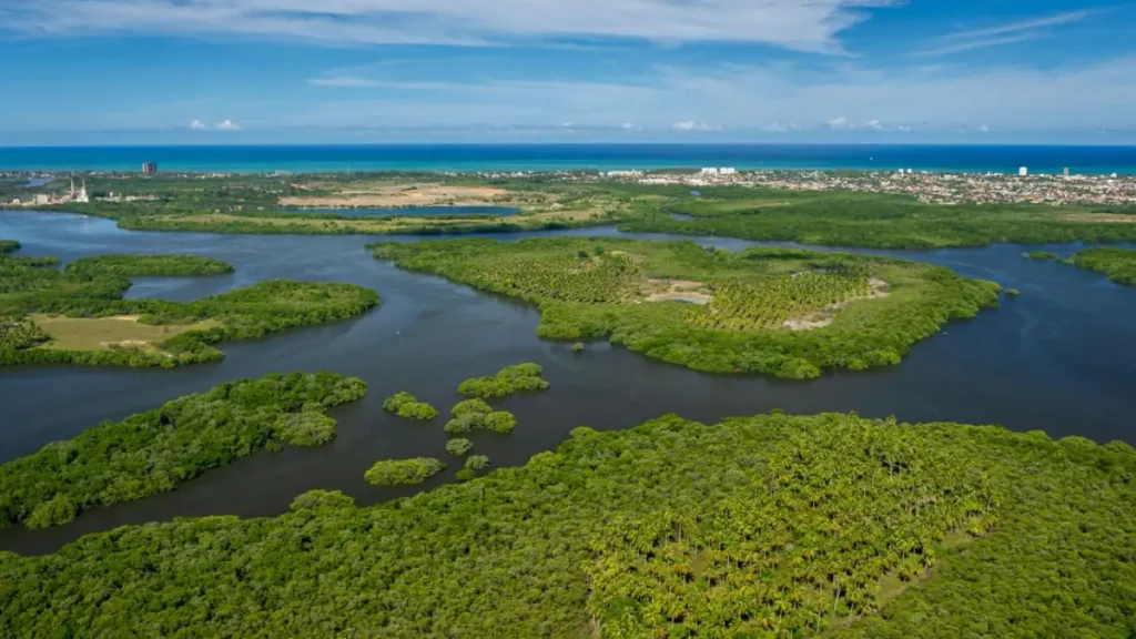 Vista aérea do Canal de Santa Cruz, importante destino para pesca esportiva em Pernambuco.