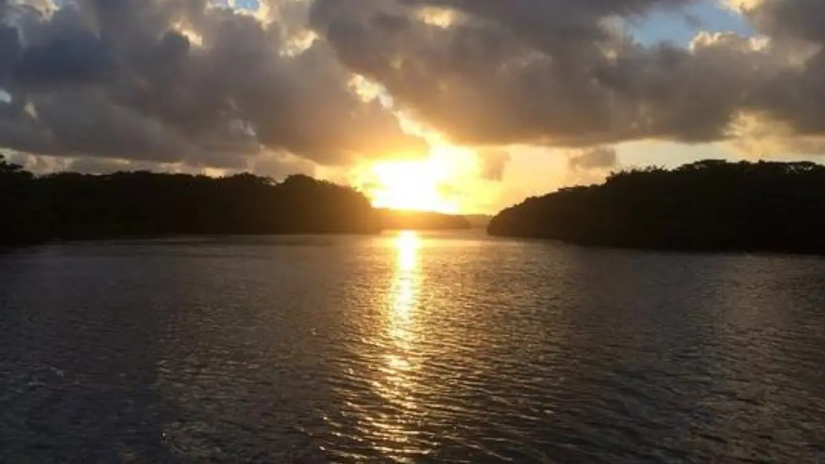 Estuário preservado no litoral de Pernambuco, utilizado para pesca esportiva em águas salobras.